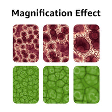 Load image into Gallery viewer, SeeYing Optical Microscope Professional Biological Science Equipment Small Experiment Educational Device