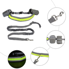 Load image into Gallery viewer, PetOde Hands Free Dog Leash, Suitable for Running Walking Jogging Hiking, Training for Small Medium and Large Dogs, Adjustable Waist Belt, Dual-Handle Flexible Bungee, Dyrabke Metal Clasp ,Zipper Pouch
