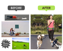Load image into Gallery viewer, PetOde Hands Free Dog Leash, Suitable for Running Walking Jogging Hiking, Training for Small Medium and Large Dogs, Adjustable Waist Belt, Dual-Handle Flexible Bungee, Dyrabke Metal Clasp ,Zipper Pouch