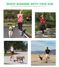 Load image into Gallery viewer, PetOde Hands Free Dog Leash, Suitable for Running Walking Jogging Hiking, Training for Small Medium and Large Dogs, Adjustable Waist Belt, Dual-Handle Flexible Bungee, Dyrabke Metal Clasp ,Zipper Pouch
