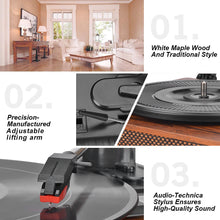 Load image into Gallery viewer, Seasonlife Record Player Turntable Vinyl Record Player with Speakers
